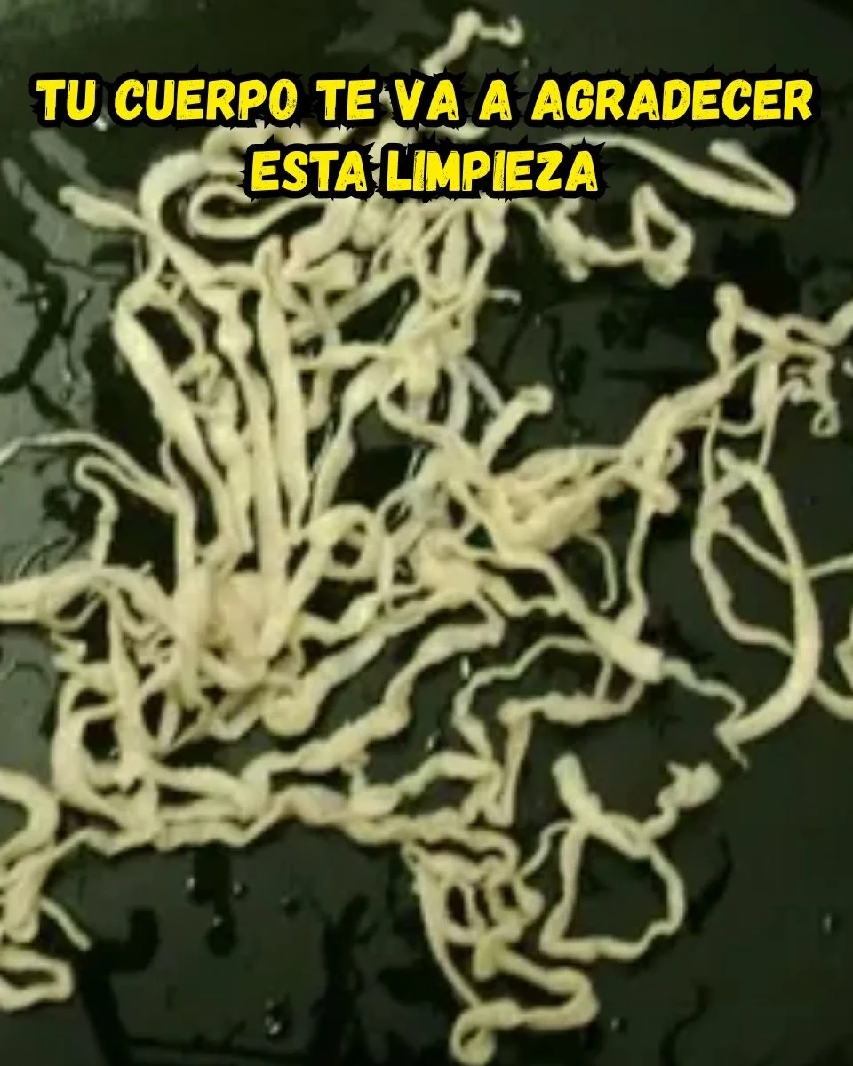 Fibres alimentaires et satiété